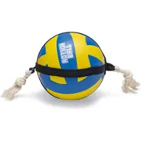 Beeztees Volleybal mit seil