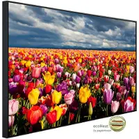 Papermoon Infrarotheizung »EcoHeat - Blumenwiese«, Matt-Effekt - bunt