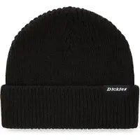 Dickies Woodworth Beanie Schwarz Mann