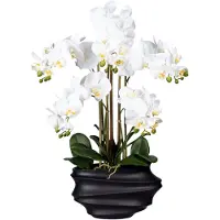 Creativ Green Kunstorchidee "Phalaenopsis" in Design-Kunststoffvase