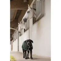 Diego & Louna Teddy Nylon Hundejacke