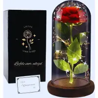 Famanu Rosenblume in Glaskuppel - Geschenk für Vatertag und Valentinstag