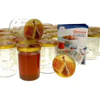 MamboCat 50er Set Honigglas 435ml Einmachglas TO 82 Deckel Carino Honigwabe Rezeptheft