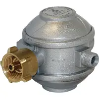 Enders Sicherheitsdruckregler 1,5 kg/h, 50 mbar für Gewerbe