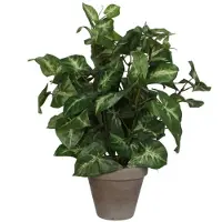 Mica Kunstpflanze Syngonium grün im Topf 35 x 25 cm GLO660754747