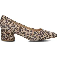 Peter kaiser Modische Pumps für Damen in beige