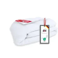 Ribeco Daunenbettdecke "Johanna", normal, Füllung 80% Daunen, 20% Federn, Bezug Baumwolle, (1 St.), Naturprodukt zum TOP-Preis
