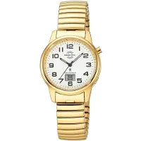 Master Time Super Power Daily MTLA-10947-12Z Damenfunkuhr