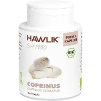 Hawlik Coprinus Pulver Kapseln Vorteilsdose 250 St