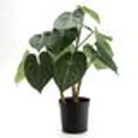 LOU DE CASTELLANE Anthurie Clarinervium 61 cm - Grün Plastik 0.01x0.01 cm