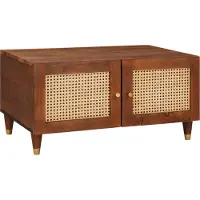 vidaXL Couchtisch 80 x 50 x 40 cm Massivholz Mango