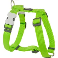 Red Dingo Hundegeschirr weich 30-48 cm Neongrün
