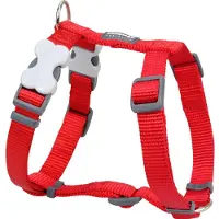Red Dingo Smooth Hundegeschirr