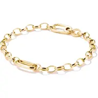 Thomas Sabo Charm-Armband mit einem Connect Link vergoldet
