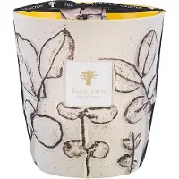 Baobab Duftkerze Folia Calanque Max 16