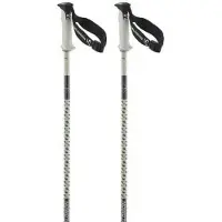 Salomon Polar Pro S3 Stöcke