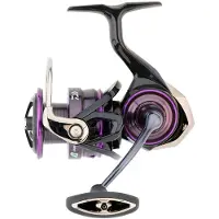Daiwa Rolle Prorex MQ LT Modellgröße 2000