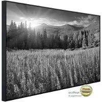 Papermoon Infrarotheizung »EcoHeat - Landschaft Schwarz + Weiss«, Matt-Effekt - bunt