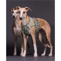 PAIKKA Hunde Kühlweste "Cool Vest" grün Leo, Größe: XS