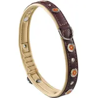 Ferplast Circus 20 Mm 44 Cm Hundehalsband