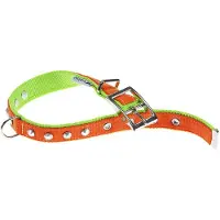Ferplast Dual 25 Mm 45 Cm Hundehalsband