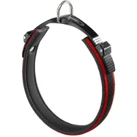 Ferplast Ergotattoo 25 Mm 55 Cm Hundehalsband