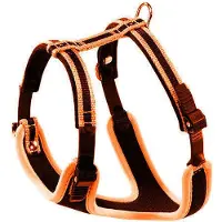 Ferplast Ergocomfort P, Hund, Westengeschirr, S, Schwarz, Blau, Einfarbig, 56 cm