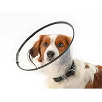 Kruuse Set 7.5-30 Cm Elizabethan Hundehalsband 7 Einheiten