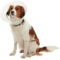 Kruuse Elizabethan Hundehalsband