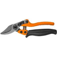 Lowe 12 Gartenschere