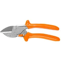 Stocker Löwe 5 Baby Amboss-schere Mit Spitzer Klinge Und Gebogenem Griff