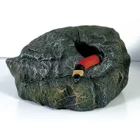Zoo med Reptilienhöhle