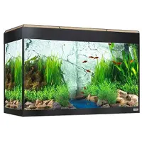 Fluval Roma Led Bluetooth 125l Aquarium