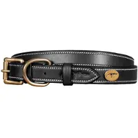 Dyon flaches Lederhalsband für Hunde
