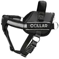Collar Pet Dog Extreme Police Hundegeschirr