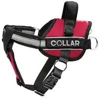 Collar Pet Dog Extreme Police Hundegeschirr