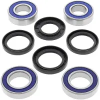 All Balls Racing SP 1039987 Radlagerkit hinten für MANA, SHIVER, DORSO, RSV1000, SL1000 passend fuer APRILIA RSV 1000