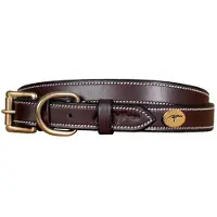 Dyon flaches Lederhalsband für Hunde