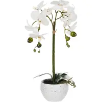 Beliani Orchid