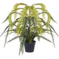 Beliani Fern Leaf Plant