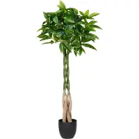 Beliani Pachira Tree