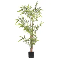 Beliani Bambusa Vulgaris