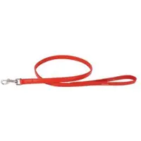 Collar Pet Leather Führleine