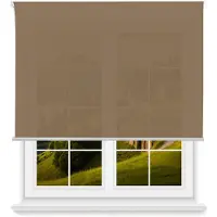 Wellhome Polyester Lichtdurchlässiger Rollo 160 X 250 Cm