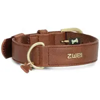 Zwei Leo Le15 Führleine