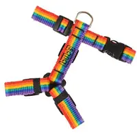 Bub´s Not Pull Rainbow Hundegeschirr
