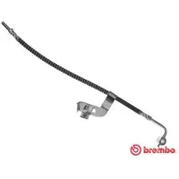 Brembo Bremsschlauch ESSENTIAL LINE T 24 104