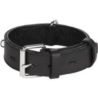 Flamingo Rondo Riveted Hundehalsband