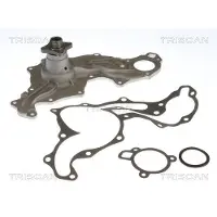 TRISCAN Wasserpumpe 8600 16060
