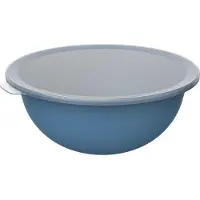 Rotho Caruba Schüssel mit Deckel 4,8 Liter horizon blau